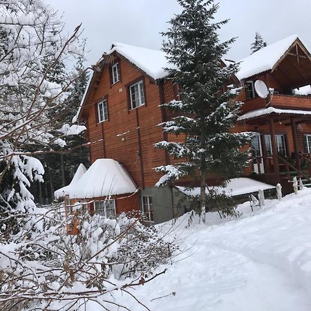 Cottage 12 Months Vorokhta Exterior photo
