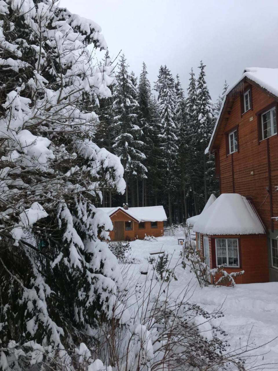 Cottage 12 Months Vorokhta Exterior photo